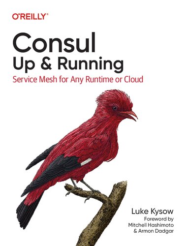 Consul: Up and Running: Service Mesh for Any Runtime or Cloud (PDF/EPUB Version)