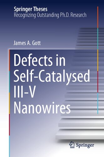 Defects in Self-Catalysed III-V Nanowires (Springer Theses) (PDF/EPUB Version)