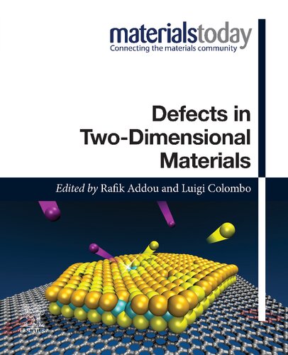 Defects in Two-Dimensional Materials (PDF/EPUB Version)