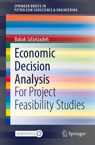Economic Decision Analysis: For Project Feasibility Studies (SpringerBriefs in Petroleum Geoscience & Engineering) (PDF/EPUB Version)