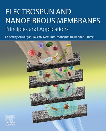 Electrospun and Nanofibrous Membranes: Principles and Applications (PDF/EPUB Version)
