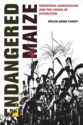 Endangered Maize: Industrial Agriculture and the Crisis of Extinction (PDF/EPUB Version)