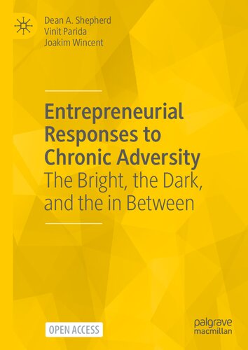 Entrepreneurial Responses to Chronic Adversity: The Bright, the Dark, and the in Between (PDF/EPUB Version)