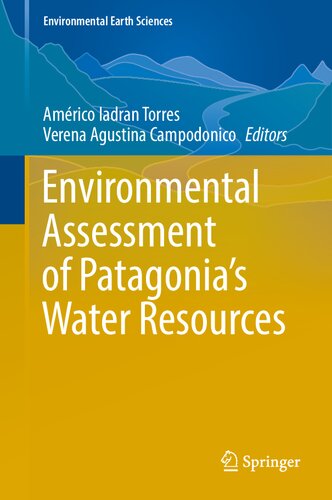 Environmental Assessment of Patagonia's Water Resources (Environmental Earth Sciences) (PDF/EPUB Version)