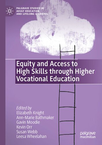 Equity and Access to High Skills through Higher Vocational Education (Palgrave Studies in Adult Education and Lifelong Learning) (PDF/EPUB Version)