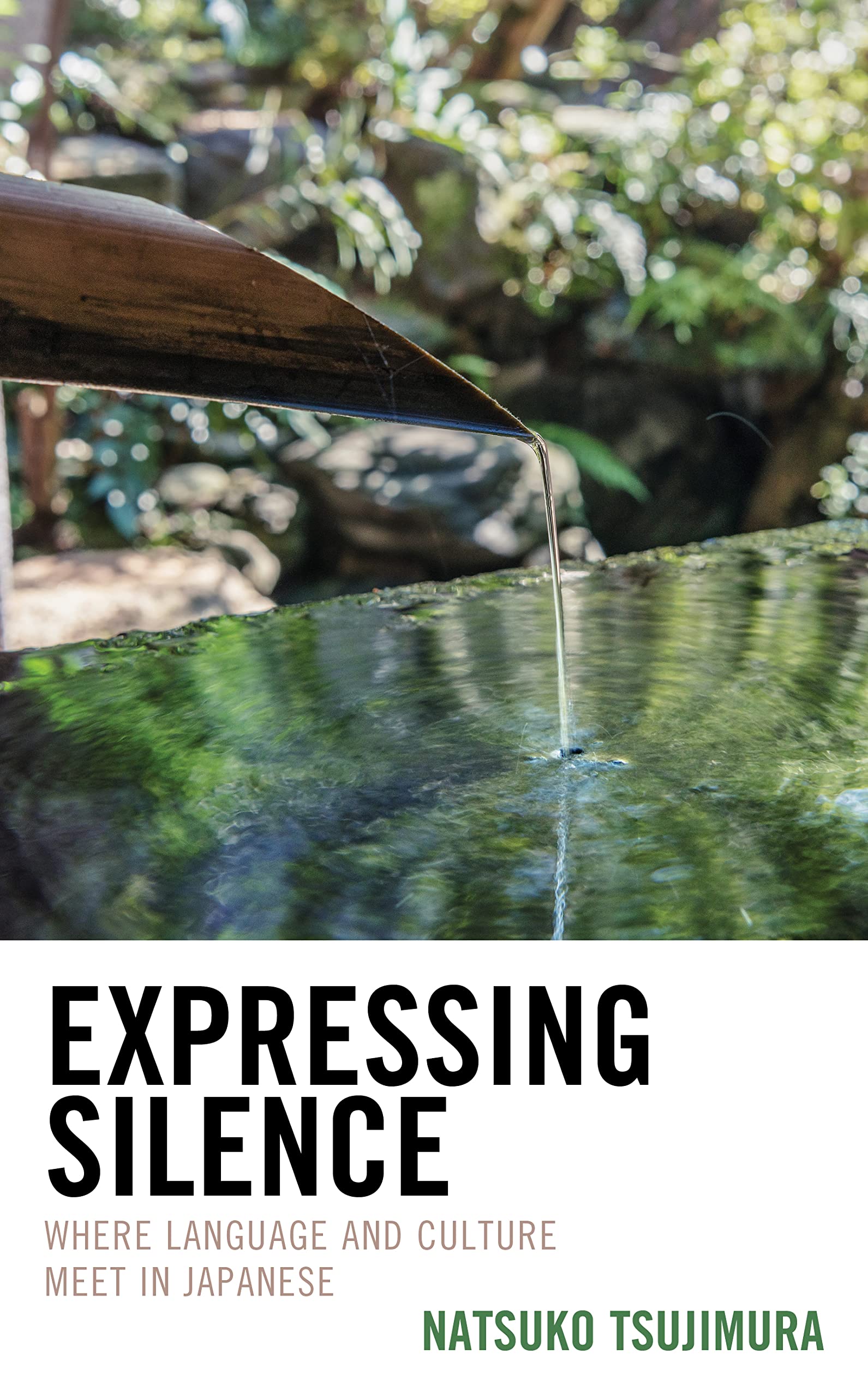 Expressing Silence: Where Language and Culture Meet in Japanese (PDF/EPUB Version)