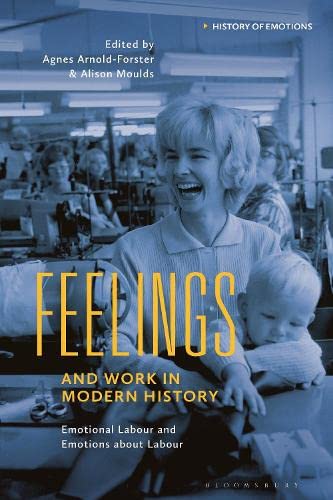 Feelings and Work in Modern History: Emotional Labour and Emotions about Labour (PDF/EPUB Version)