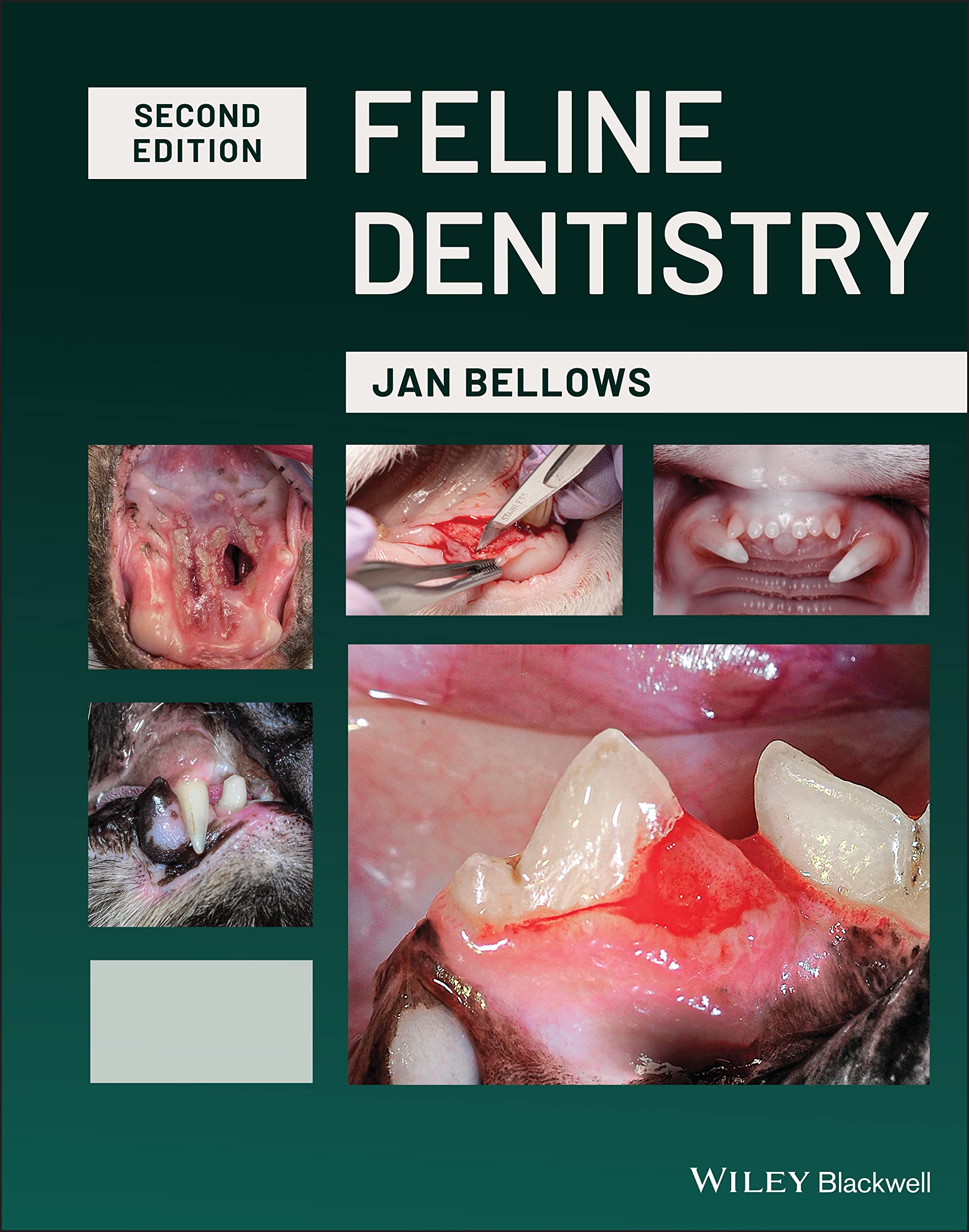 Feline Dentistry: Oral Assessment, Treatment, and Preventative Care (PDF/EPUB Version)