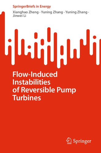 Flow-Induced Instabilities of Reversible Pump Turbines (SpringerBriefs in Energy) (PDF/EPUB Version)