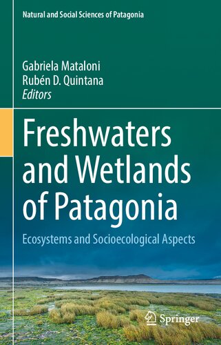 Freshwaters and Wetlands of Patagonia: Ecosystems and Socioecological Aspects (Natural and Social Sciences of Patagonia) (PDF/EPUB Version)