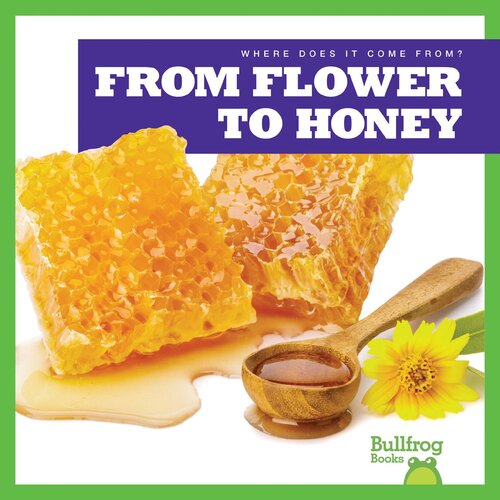 From Flower to Honey (PDF/EPUB Version)