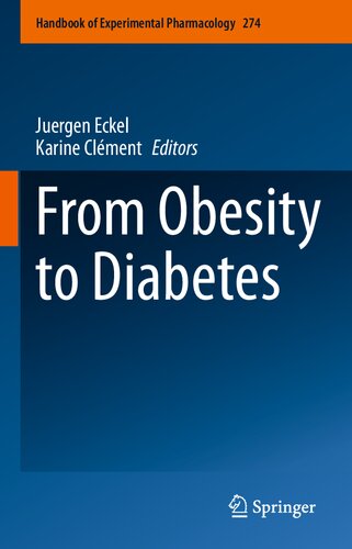 From Obesity to Diabetes (PDF/EPUB Version)
