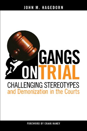 Gangs on Trial: Challenging Stereotypes and Demonization in the Courts (PDF/EPUB Version)