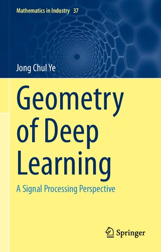 Geometry of Deep Learning: A Signal Processing Perspective (PDF/EPUB Version)