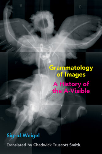 Grammatology of Images: A History of the A-Visible (Commonalities) (PDF/EPUB Version)