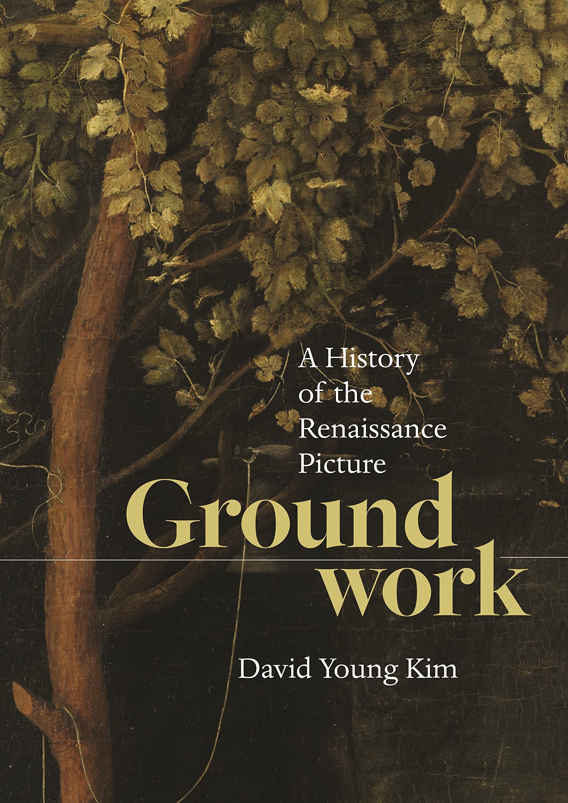 Groundwork: A History of the Renaissance Picture (PDF/EPUB Version)