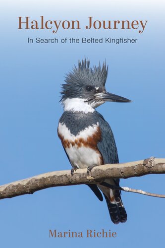 Halcyon Journey: In Search of the Belted Kingfisher (PDF/EPUB Version)
