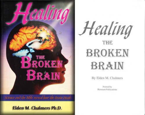 Healing the Broken Brain (PDF/EPUB Version)