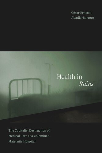 Health in Ruins: The Capitalist Destruction of Medical Care at a Colombian Maternity Hospital (PDF/EPUB Version)