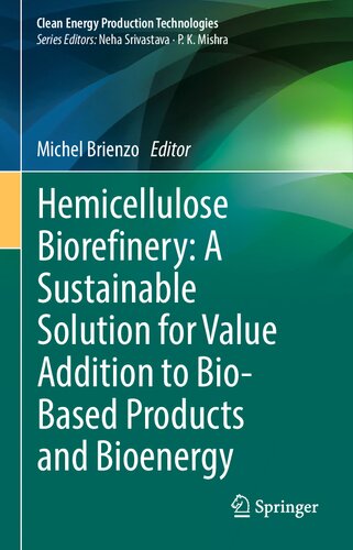 Hemicellulose Biorefinery: A Sustainable Solution for Value Addition to Bio-Based Products and Bioenergy (PDF/EPUB Version)