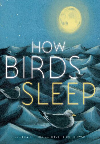 How Birds Sleep (PDF/EPUB Version)