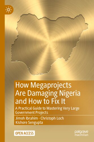 How Megaprojects Are Damaging Nigeria and How to Fix It: A Practical Guide to Mastering Very Large Government Projects (PDF/EPUB Version)
