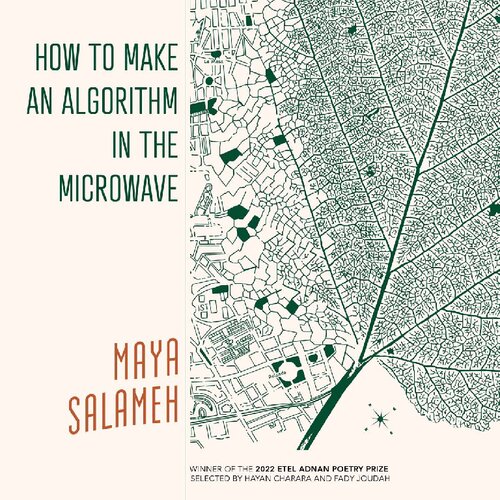 How to Make an Algorithm in the Microwave (PDF/EPUB Version)