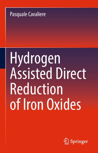 Hydrogen Assisted Direct Reduction of Iron Oxides (PDF/EPUB Version)