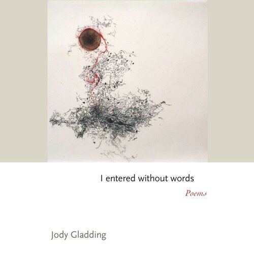 I entered without words: Poems (PDF/EPUB Version)