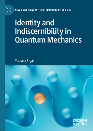 Identity and Indiscernibility in Quantum Mechanics (PDF/EPUB Version)