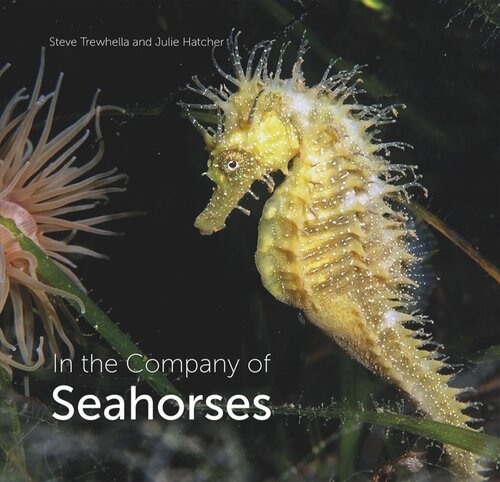 In the Company of Seahorses (PDF/EPUB Version)