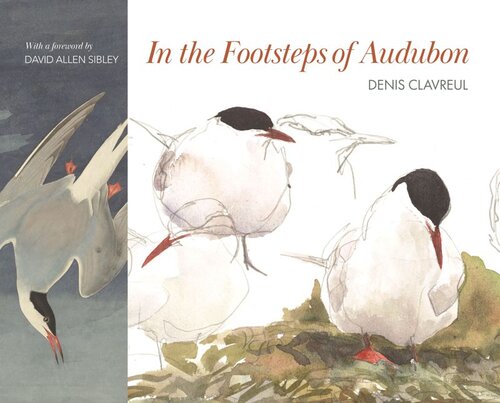 In the Footsteps of Audubon (PDF/EPUB Version)