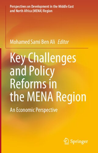 Key Challenges and Policy Reforms in the MENA Region: An Economic Perspective (Perspectives on Development in the Middle East and North Africa (MENA) Region) (PDF/EPUB Version)