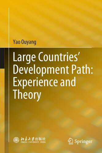 Large Countries’ Development Path: Experience and Theory (PDF/EPUB Version)
