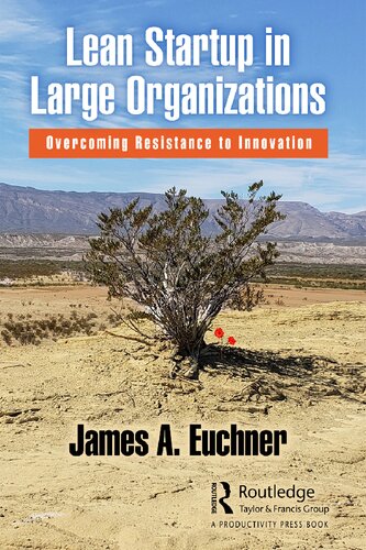 Lean Startup in Large Organizations: Overcoming Resistance to Innovation (PDF/EPUB Version)