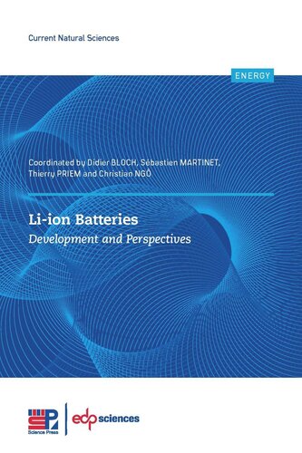 Li-ion Batteries: Development and perspectives (PDF/EPUB Version)