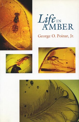 Life in Amber (PDF/EPUB Version)