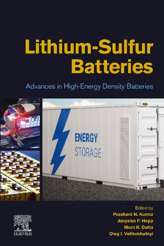 Lithium-Sulfur Batteries: Advances in High-Energy Density Batteries (PDF/EPUB Version)