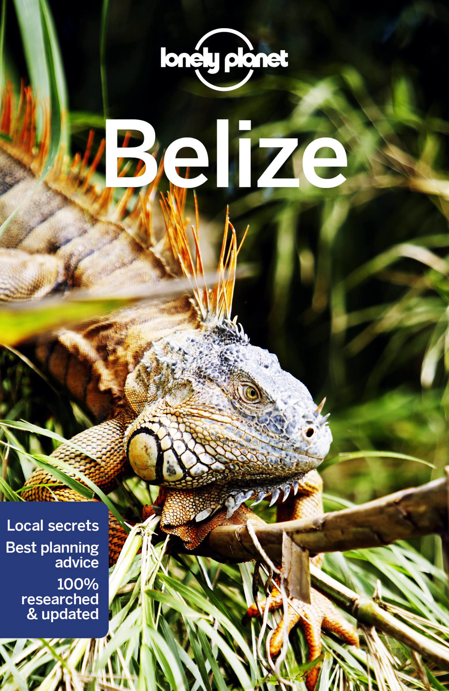 Lonely Planet Belize 8 (Travel Guide) (PDF/EPUB Version)