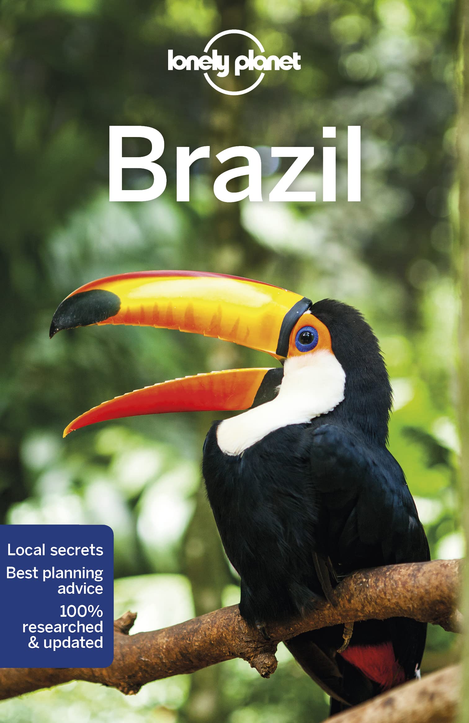 Lonely Planet Brazil 12 (Travel Guide) (PDF/EPUB Version)