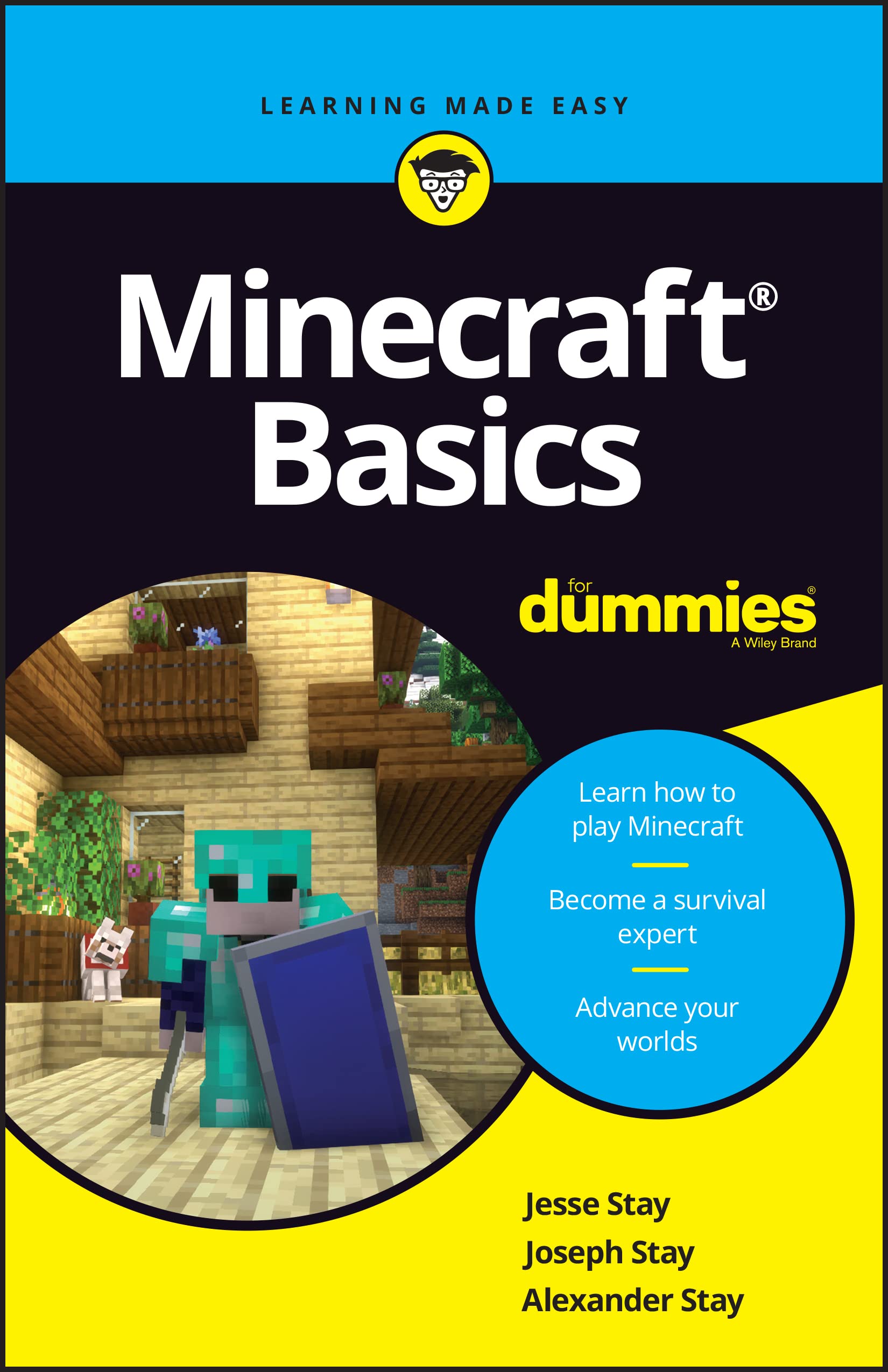 Minecraft Basics For Dummies (For Dummies (Computer/tech)) (PDF/EPUB Version)