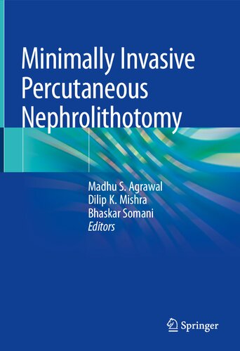 Minimally Invasive Percutaneous Nephrolithotomy (PDF/EPUB Version)