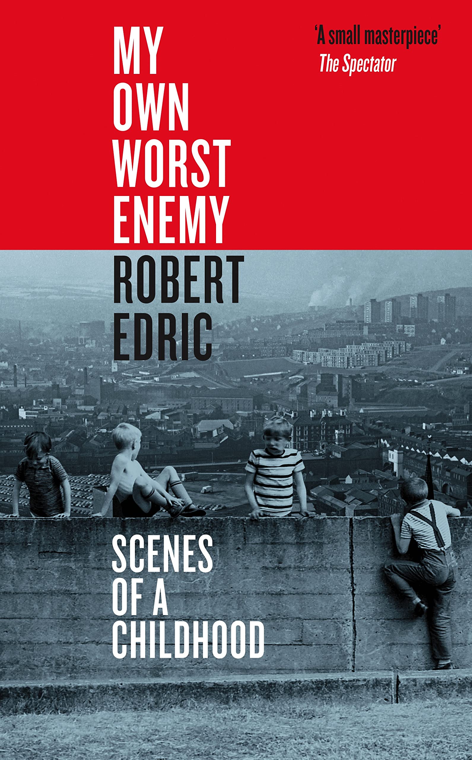 My Own Worst Enemy: Scenes of a Childhood (PDF/EPUB Version)