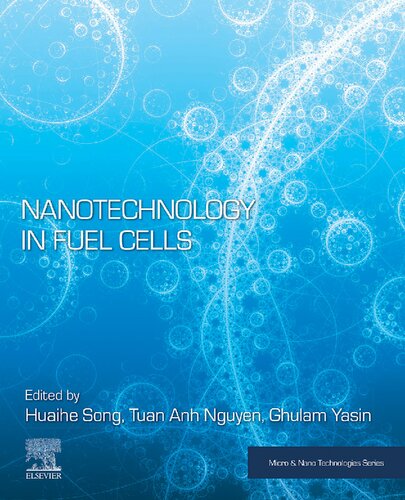 Nanotechnology in Fuel Cells (PDF/EPUB Version)