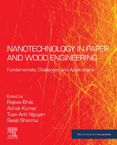 Nanotechnology in Paper and Wood Engineering: Fundamentals, Challenges and Applications (PDF/EPUB Version)