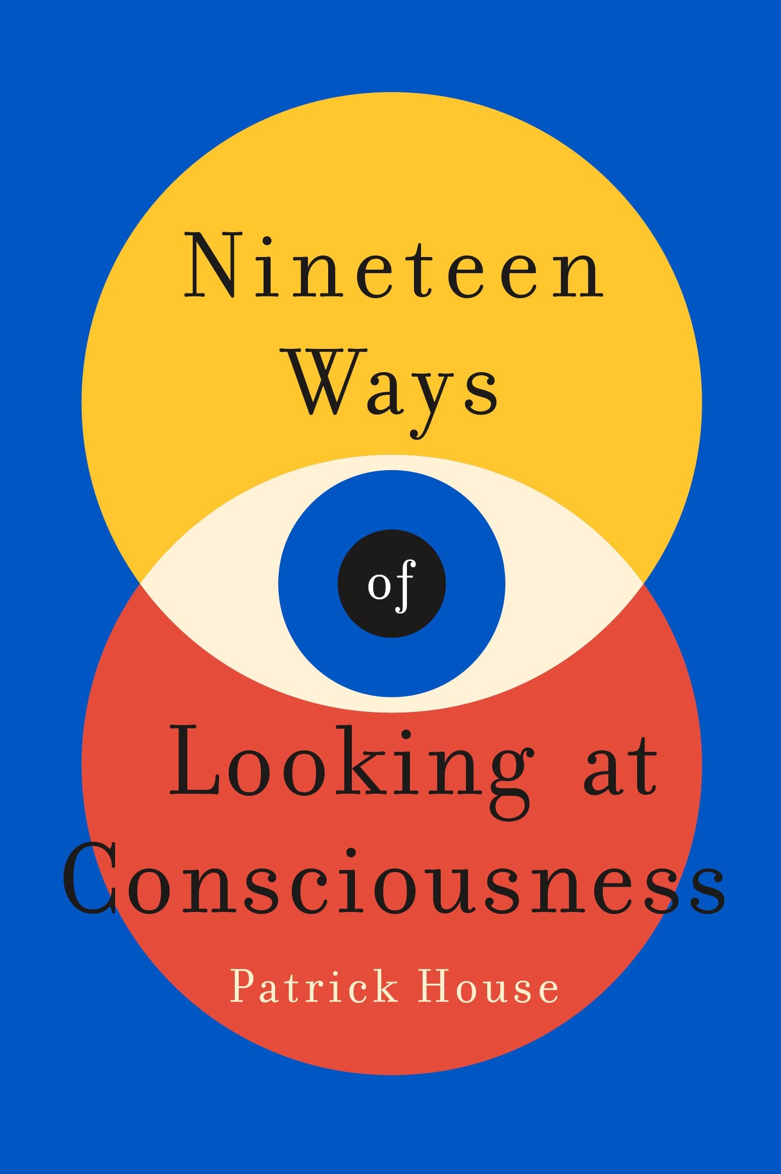 Nineteen Ways of Looking at Consciousness (PDF/EPUB Version)