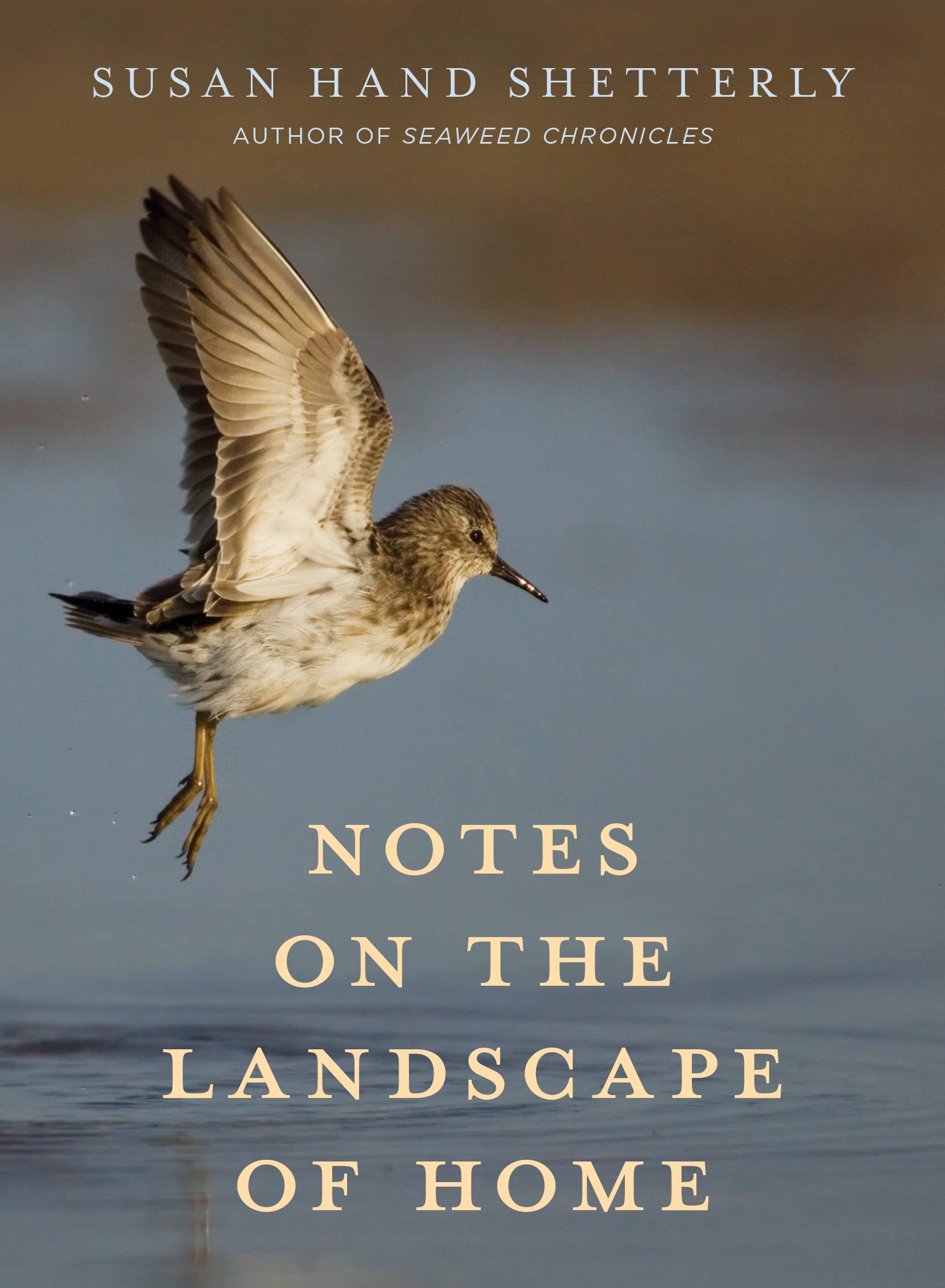 Notes on the Landscape of Home (PDF/EPUB Version)