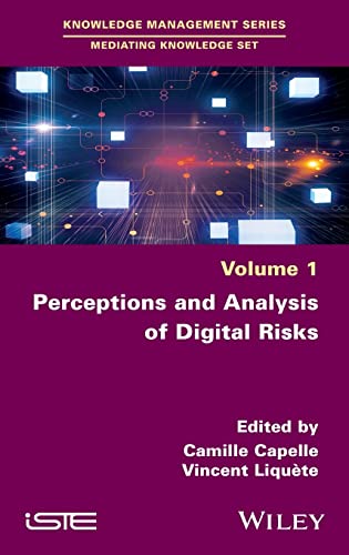 Perceptions and Analysis of Digital Risks (PDF/EPUB Version)