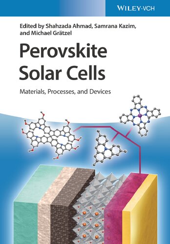 Perovskite Solar Cells: Materials, Processes, and Devices (PDF/EPUB Version)