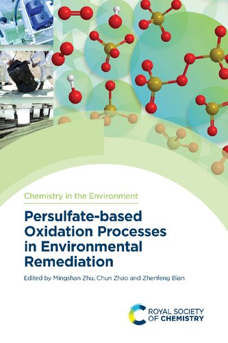 Persulfate-based Advanced Oxidation Processes in Other Applications (PDF/EPUB Version)